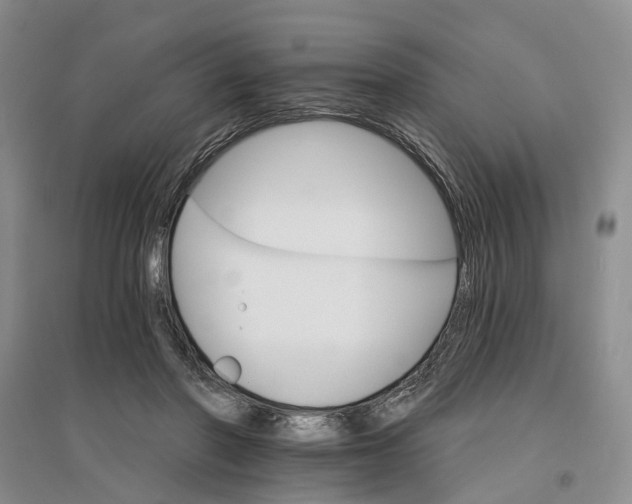 X0000096690406200802261545