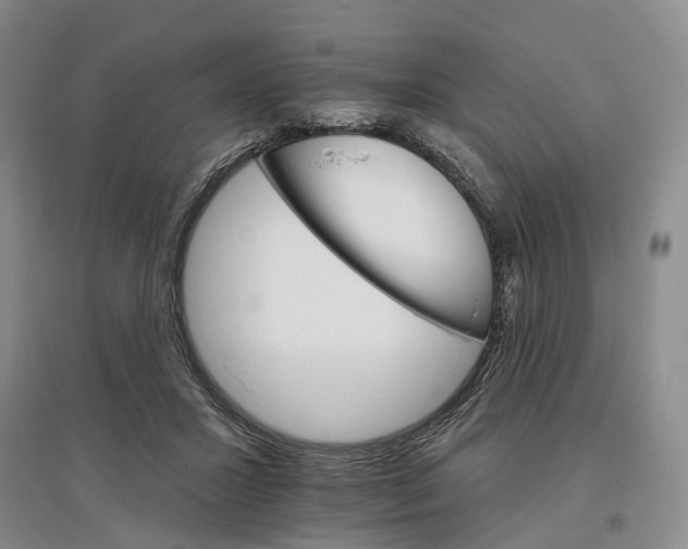 X0000096690407200802261545