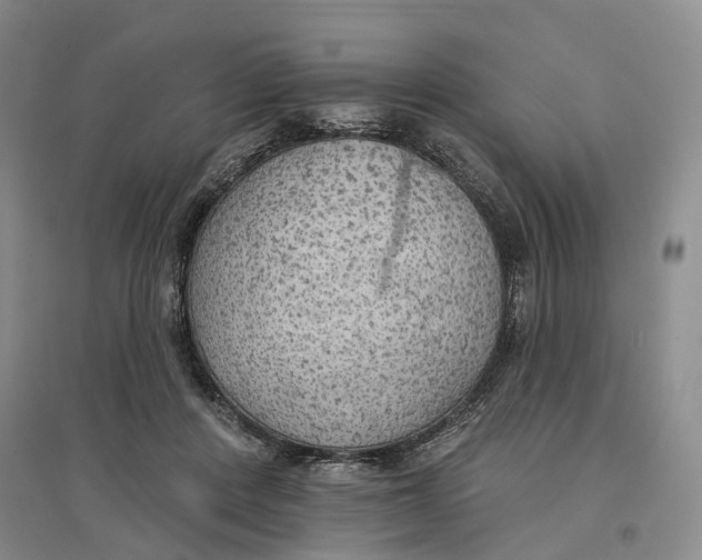 X0000096690408200802261545