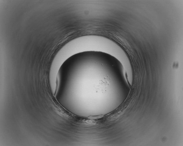 X0000096690409200802261545