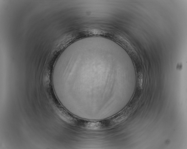 X0000096690410200802261545