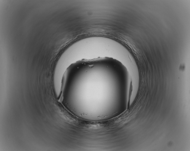 X0000096690411200802261545