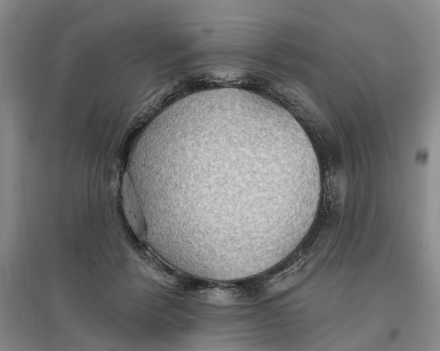 X0000096690412200802261545