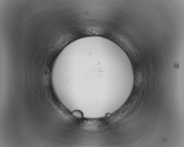 X0000096690414200802261545