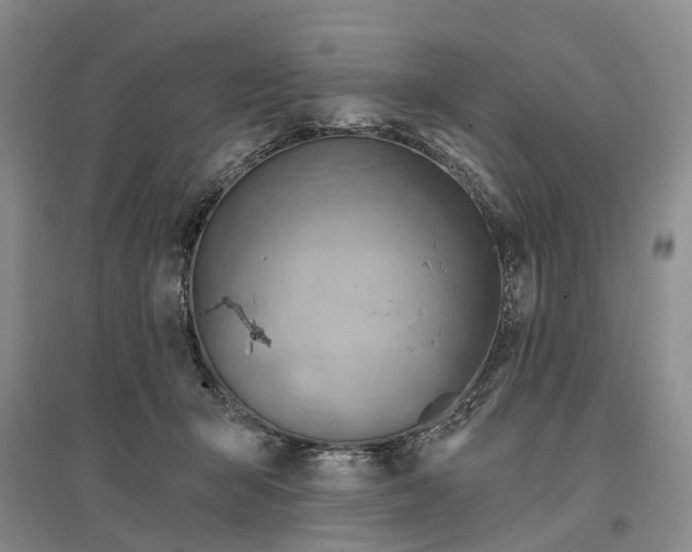 X0000096690415200802261545