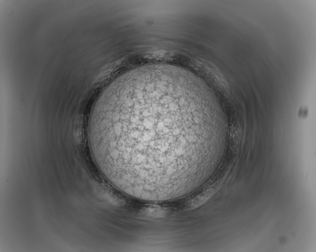 X0000096690416200802261545