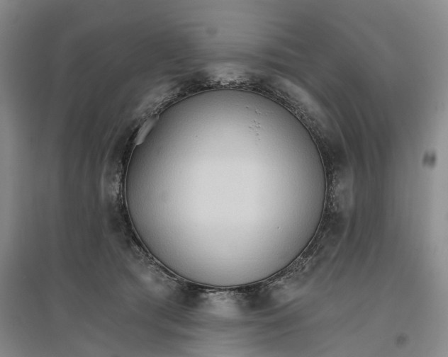 X0000096690417200802261545