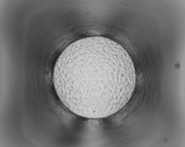 X0000096690418200802261545