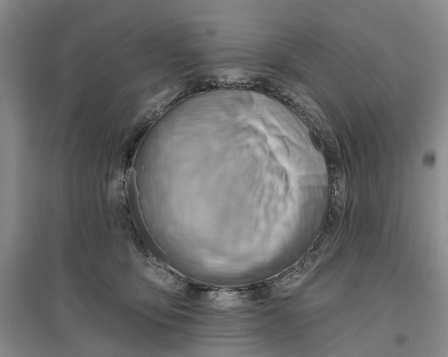 X0000096690419200802261545