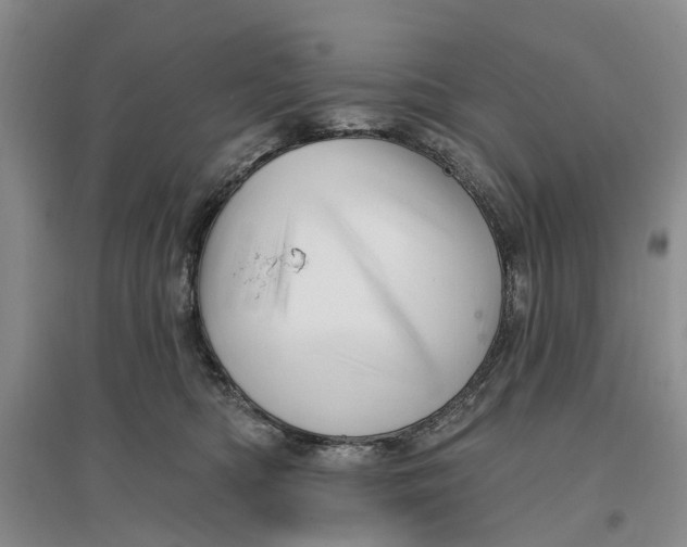 X0000096690422200802261545