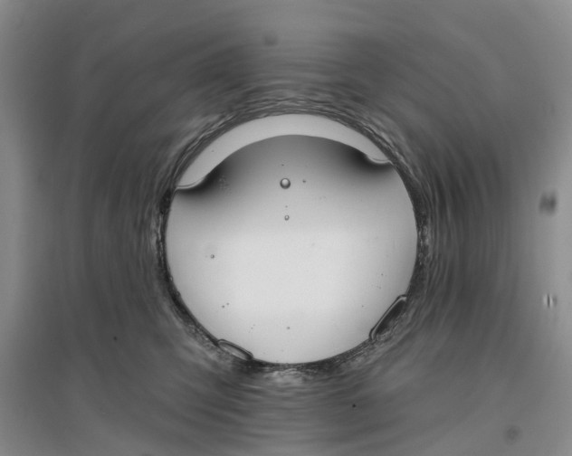 X0000096690423200802261545