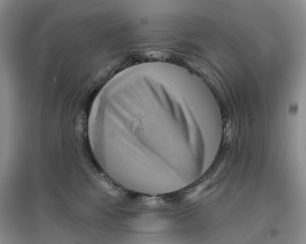 X0000096690424200802261545