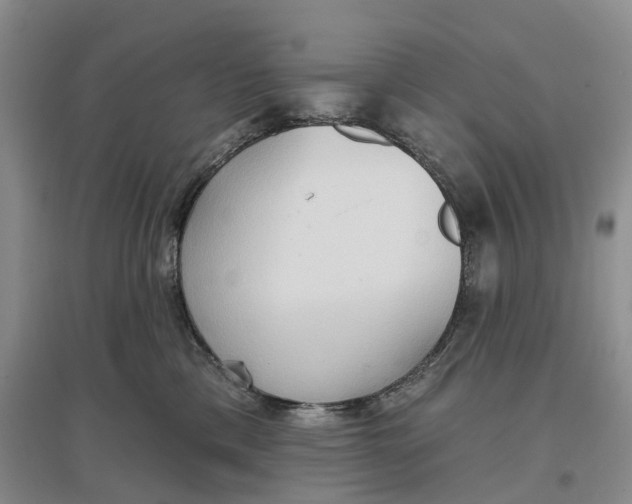 X0000096690425200802261545