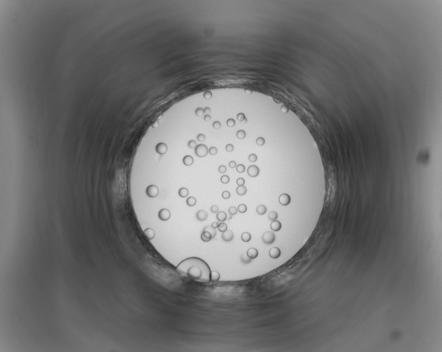 X0000096690426200802261545