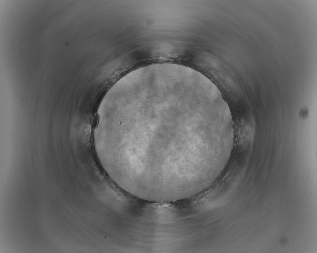 X0000096690427200802261545