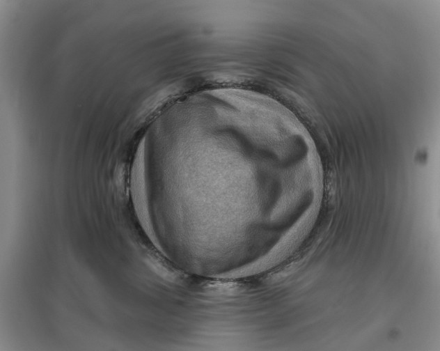 X0000096690428200802261545