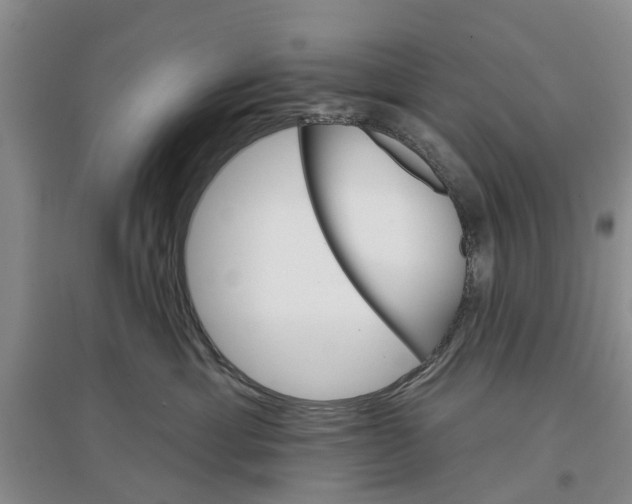 X0000096690429200802261545