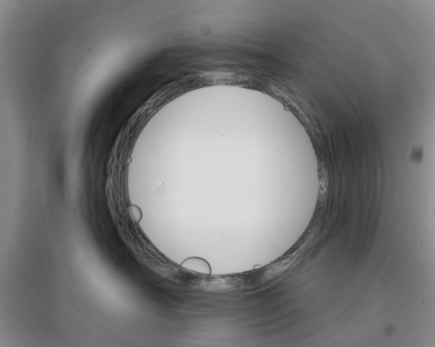 X0000096690430200802261545