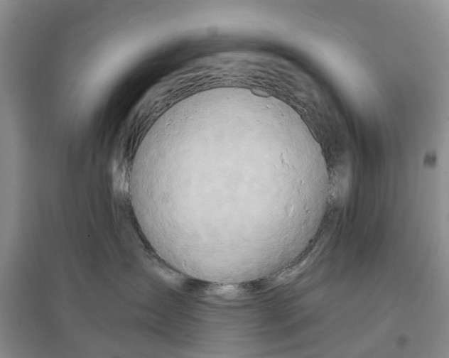 X0000096690431200802261545