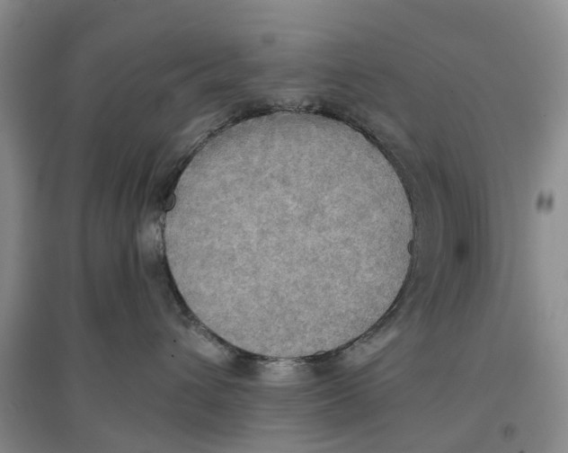 X0000096690432200802261545