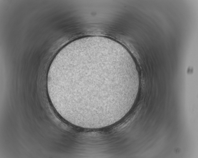 X0000096690433200802261544