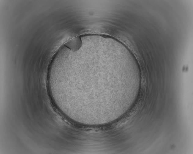 X0000096690434200802261544