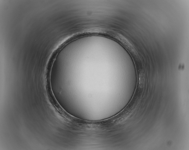 X0000096690436200802261544