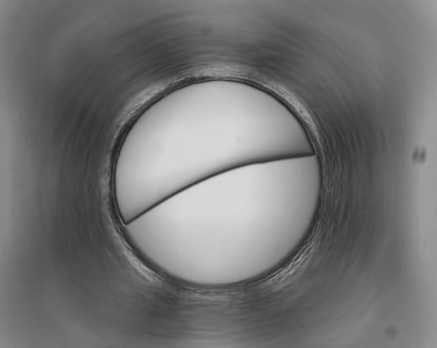 X0000096690437200802261544