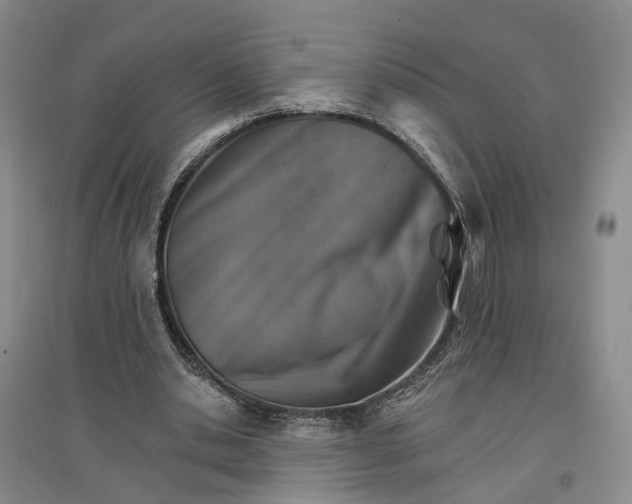 X0000096690438200802261544