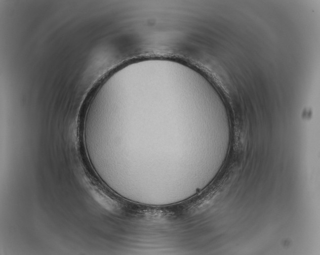 X0000096690439200802261544