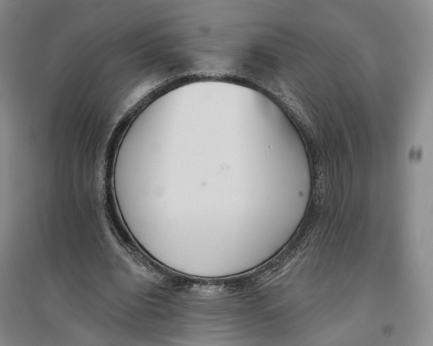 X0000096690440200802261544