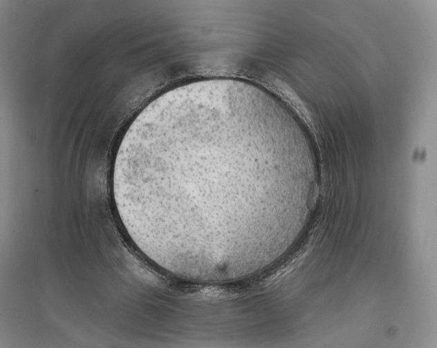 X0000096690441200802261544