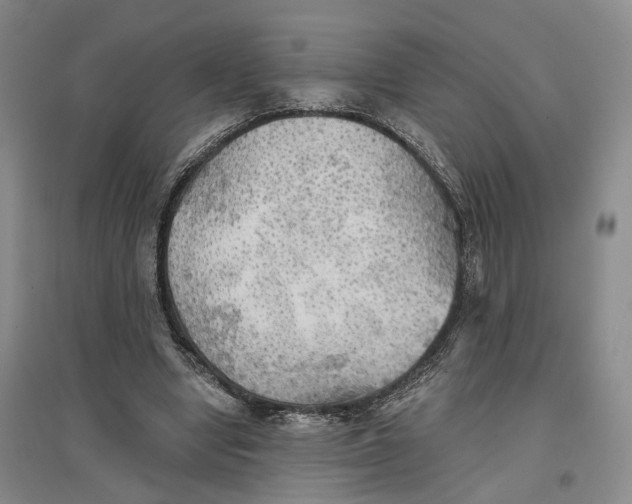 X0000096690442200802261544