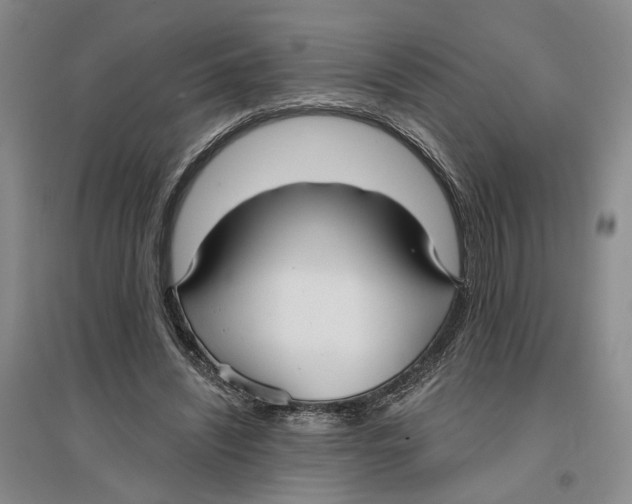 X0000096690444200802261544