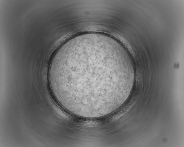 X0000096690445200802261544