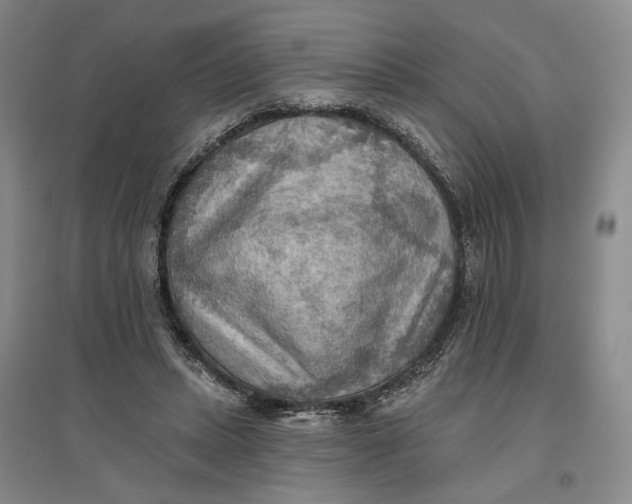 X0000096690447200802261544