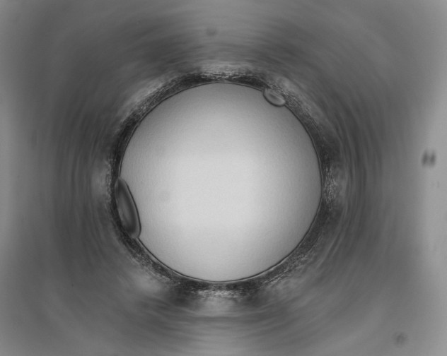 X0000096690448200802261544