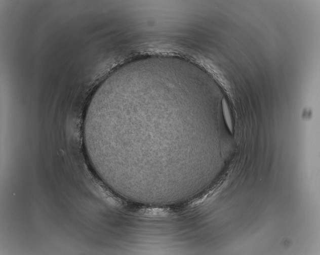 X0000096690449200802261544