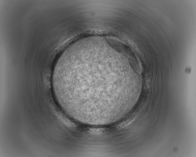 X0000096690450200802261544