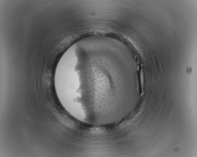 X0000096690451200802261544