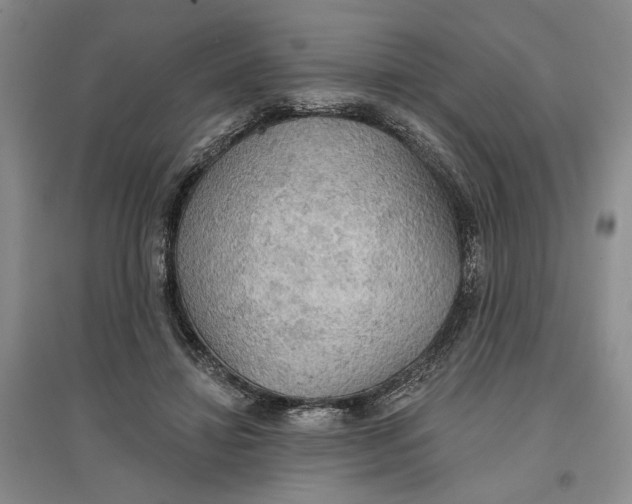 X0000096690452200802261544