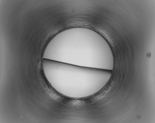 X0000096690453200802261544