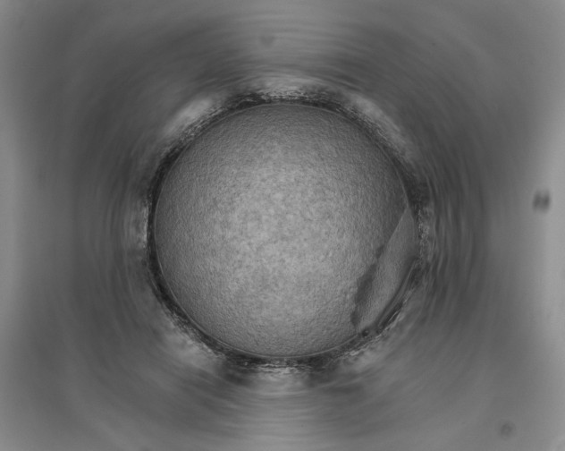 X0000096690454200802261544