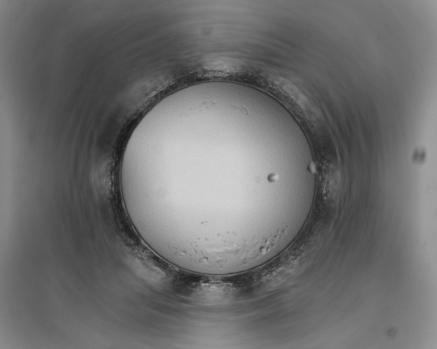 X0000096690455200802261544