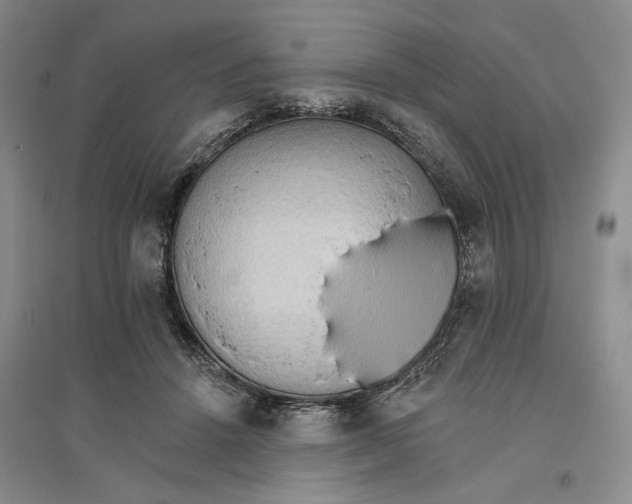 X0000096690456200802261544