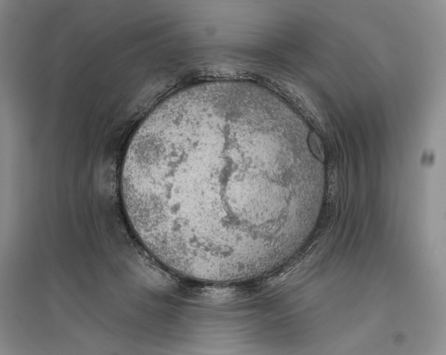 X0000096690457200802261544