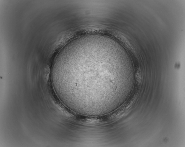 X0000096690458200802261544