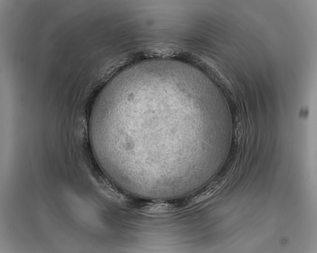 X0000096690459200802261545