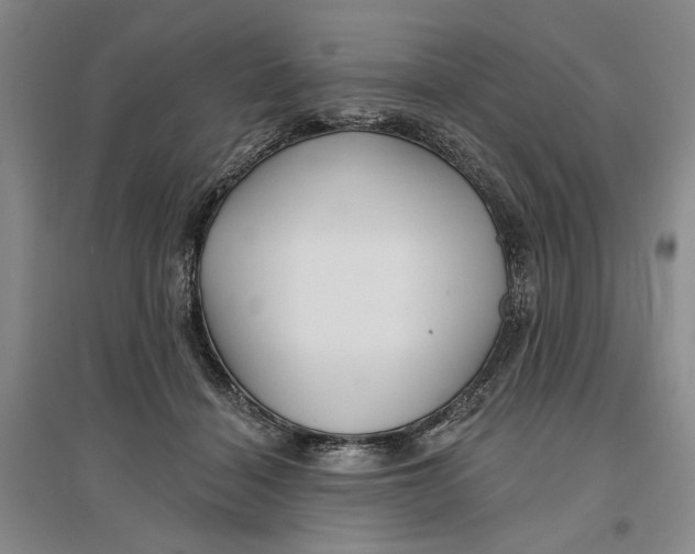 X0000096690460200802261545