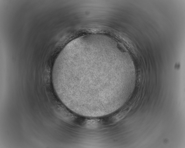 X0000096690461200802261545